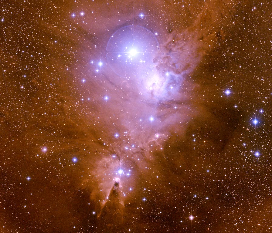 NGC 2264, Christmas Tree Cluster + Cone Nebula nebula cluster