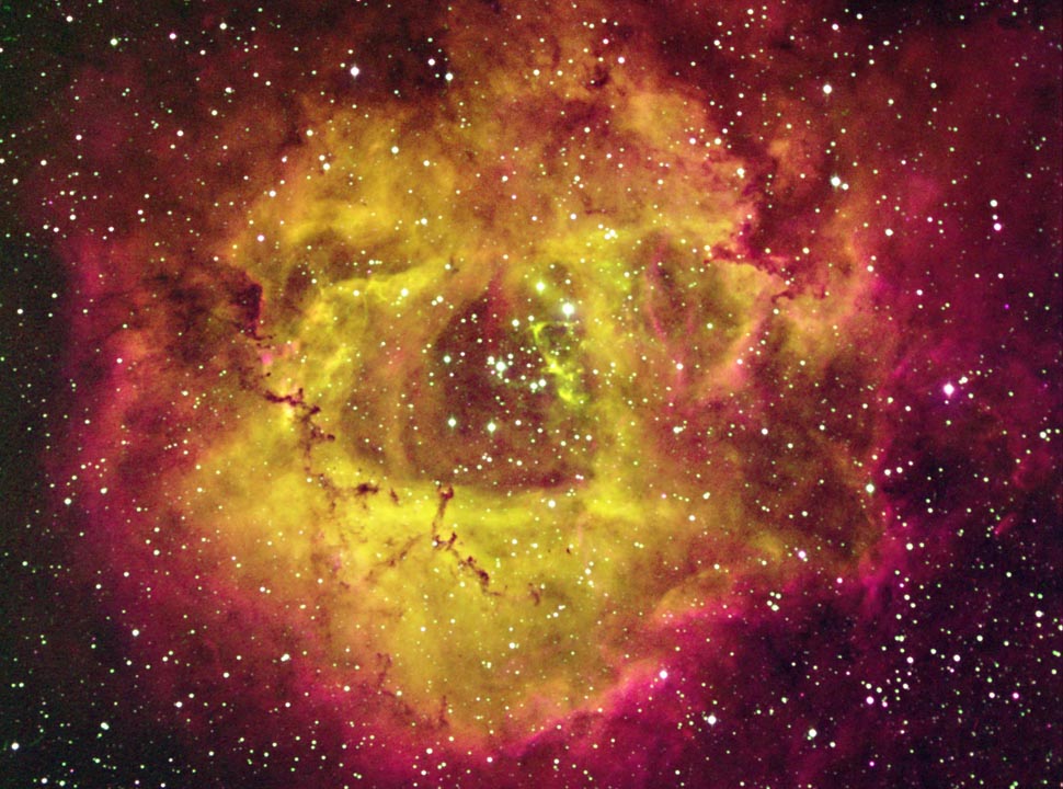 Rosette Nebula nebula