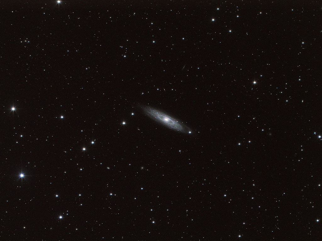 NGC 7184 galaxy