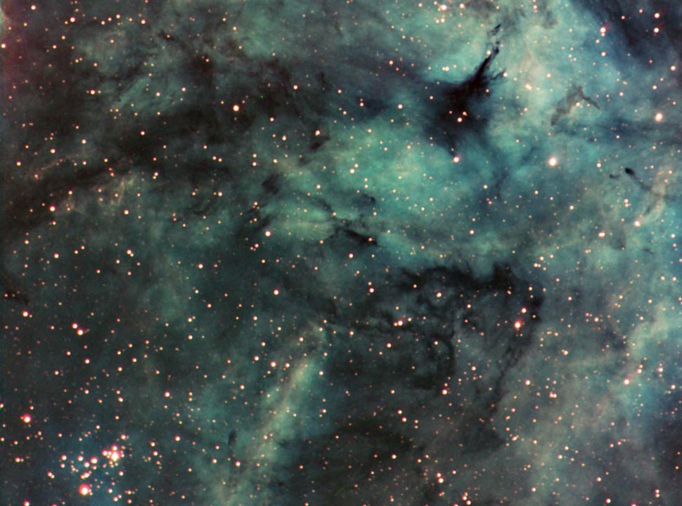 IC 1318 nebula