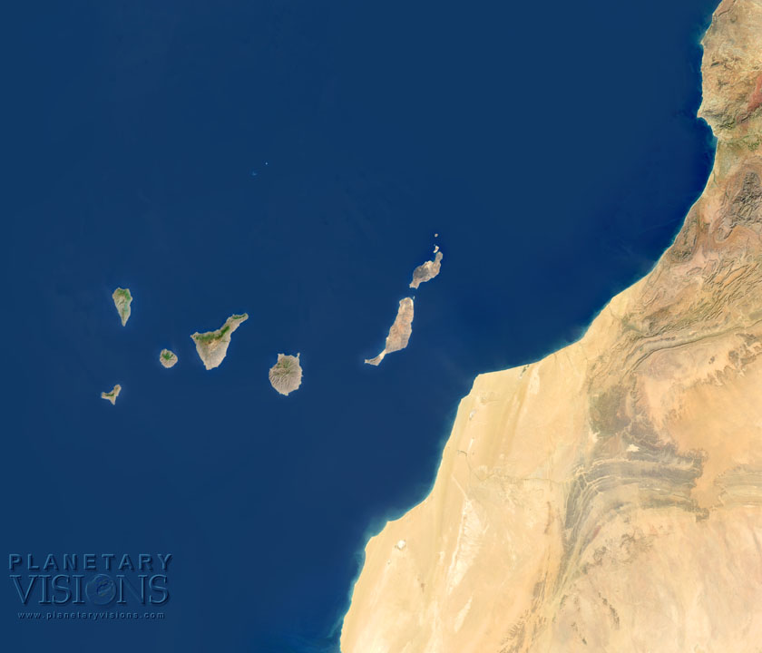 Canaries