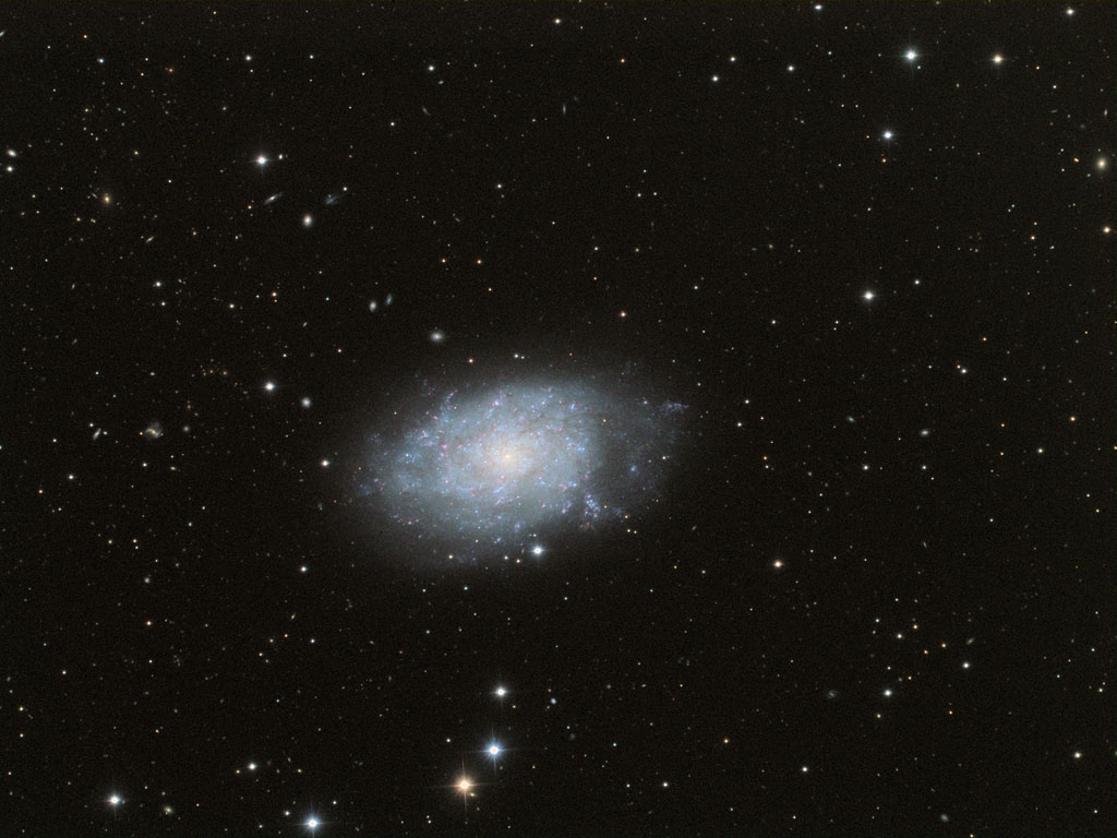 NGC 7793 galaxy